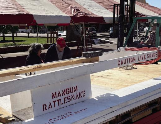 Organizing the Rattlesnake Derby is a year-long process